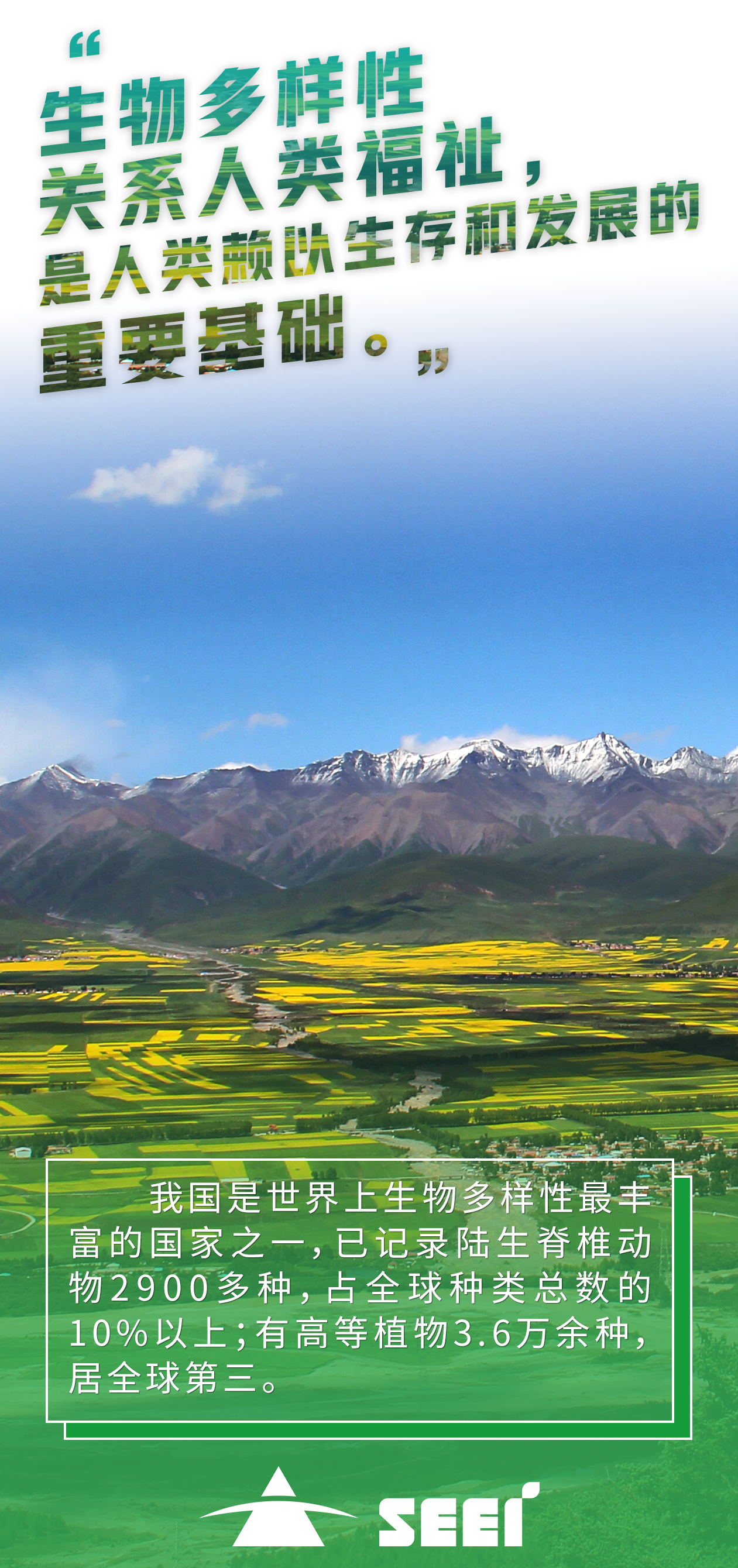 1�Ĵ�����hl888������ҵ������-�����-��Դ