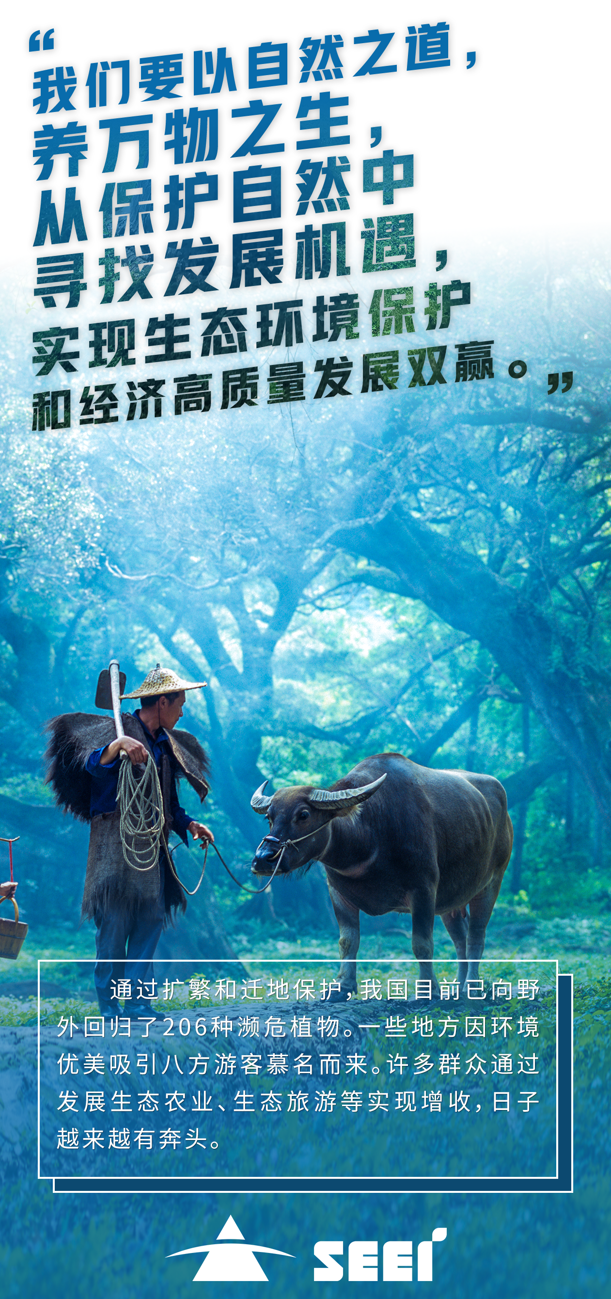 5��ˮˮ����ѯ���޹�˾-��ػ�-��������