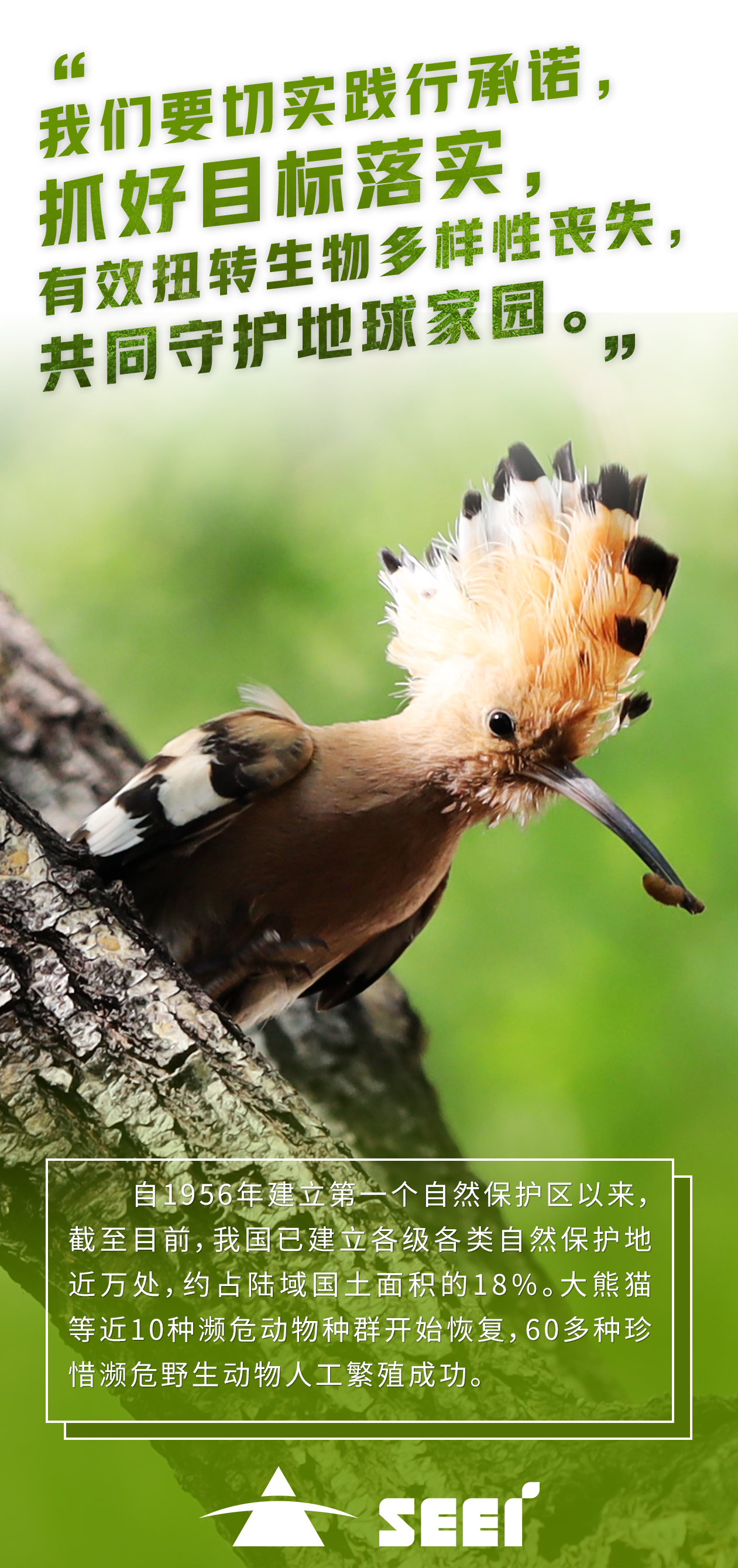 8��������-����ɽ-����