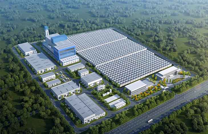 ����HL8��(�й���)����